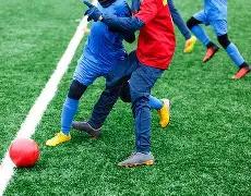 喜讯,五部门共同,发布,B体育,B体育官网,B体育官方,B体育下载