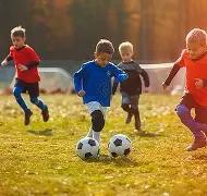 归鸾古剧,超新星纪元,电影,B体育,B体育官网,B体育官方,B体育下载