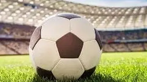 B体育 产品 141222 8zz