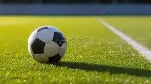 B体育 产品 142445 z3j